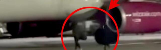 POTPUNI HAOS NA AERODROMU, RUMUNI RAZBILI STAKLA I TRČALI KA AVIONU: Propustili da se ukrcaju pa jurili po pisti kao za autobusom! Scena za nevericu (VIDEO)