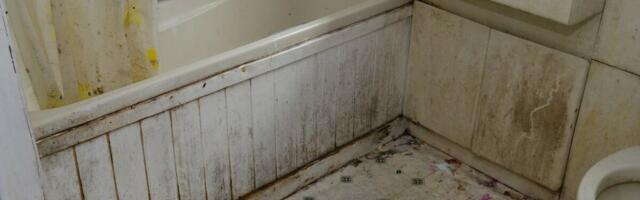 Nikada se ne biste setili: Vlaga i buđ nestaju uz ovaj začin, efekat je gotovo trenutni