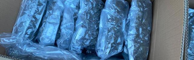 Određen pritvor muškarcu iz okoline Sečnja: Policija u kući pronašla više od kilogram marihuane