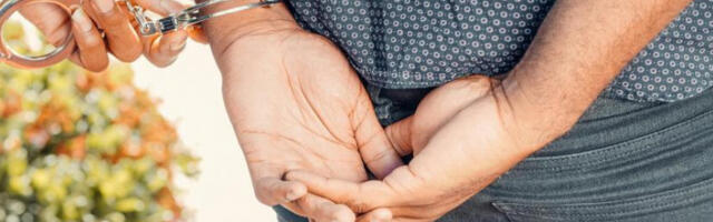 Калифорнија: осуђене три особе због преваре са лажним нападом медведа на луксузне аутомобиле