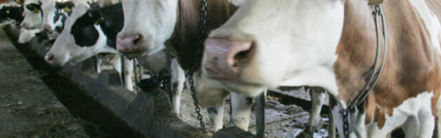 Расписан конкурс за младе у руралним крајевима Војводине