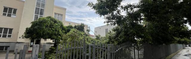Olujno nevreme pogodilo Čačak, u dvorištu OŠ “Milica Pavlović“ pao veliki deo drveta