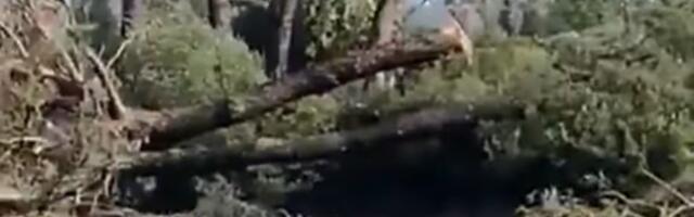 Tornado napravio haos, za nekoliko sekundi izazvao strašno uništenje (VIDEO)