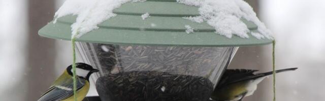 U Srbiju se spušta hladni talas iz Rusije: Čubrilo objavio prognozu za decembar, ovaj datum je ključan