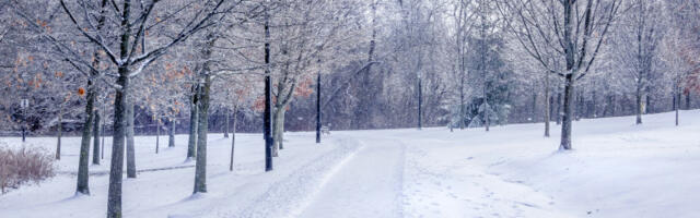 “Biće snega, budite strpljivi”: Meteorolog Todorović najavio promenu vremena i obilne padavine