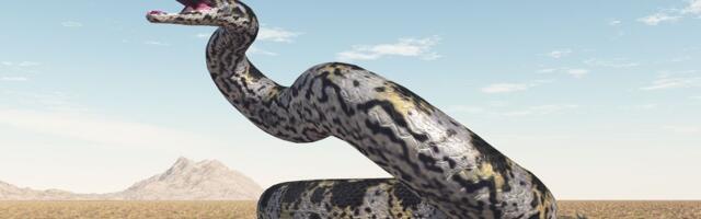 Ova zmija duga 13 metara je vladala Zemljom nakon dinosaurusa: Niko nije mogao da joj pobegne!