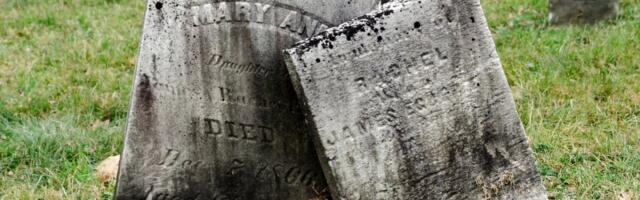 Kako su našli "Topaloviće" iz Čikaga: Vadili pokojnike iz zemlje da bi prodavali grobna mesta, odalo ih OVO