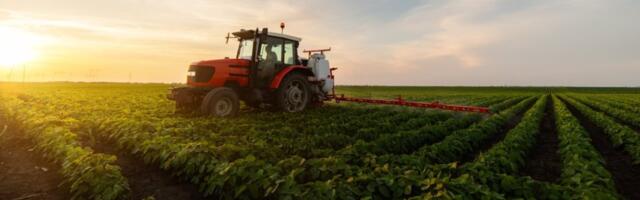 Lova do krova: Ova mahunarka donosi masnu zaradu - Srbi je obožavaju, a niko ne gaji