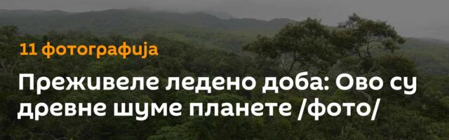 Преживелe ледено доба: Ово су древне шуме планете /фото/