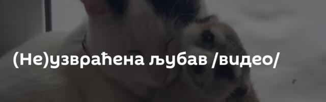 (Не)узвраћена љубав /видео/