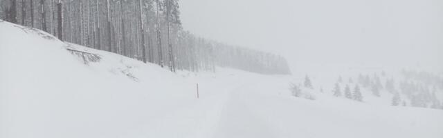 Сметови на Голији достигли висину и до пола метра