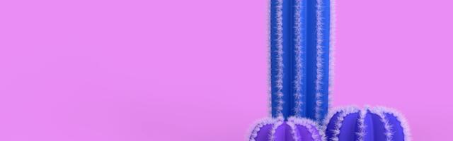 Kakvi sve tipovi penisa postoje