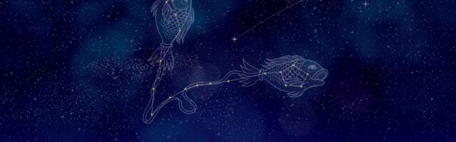 Ribe - večiti sanjari i emotivci