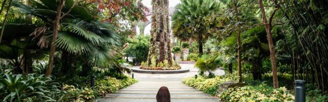 Ako na ovom mestu BACITE ŽVAKU, kazna je 600 EVRA: Za konzumiranje OVOGA možete dobiti i SMRTNU KAZNU