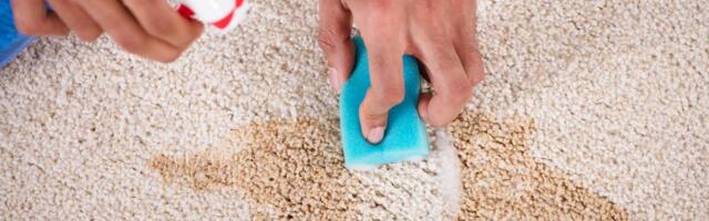 Domaće sredstvo za čišćenje tepiha koje deluje: Univerzalni recept za sve mrlje, od vina do blatnjavih šapa