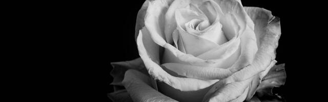 Poginula Tatjana Ječmenica, bivša reprezentativka Srbije