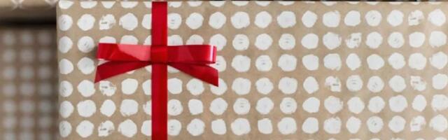 Veliki dar za pamćenje: "Nelly" poklonila objekat za memorijalni centar u Dragincu