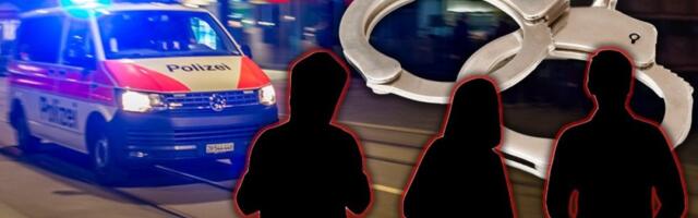 U raciji uhapšeno deset osoba, među njima osam Srba: Rad na crno u Švajcarskoj