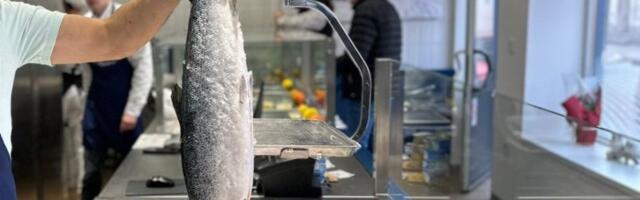 Frka u ribarnici: Neće da rade za male pare