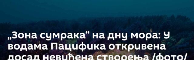 „Зона сумрака“ на дну мора: У водама Пацифика откривена досад невиђена створења /фото/