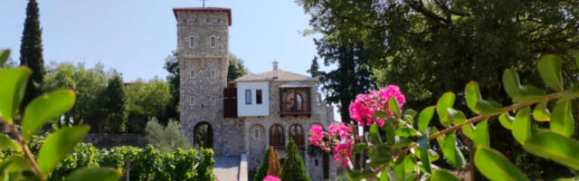 Маслиново уље манастира Тврдош освојило три златне медаље