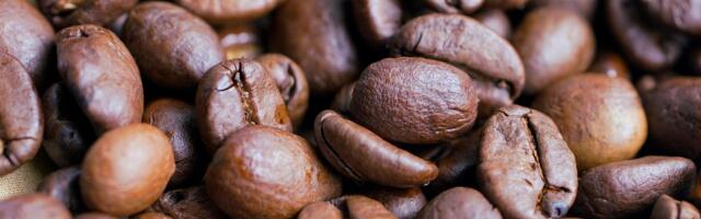 Kako odabrati automat za kafu i ambalažu za torte za ketering firmu?