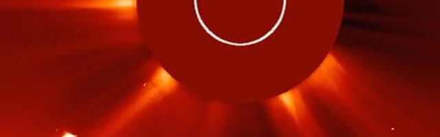 Сунце „прогутало” најсјајнију комету године