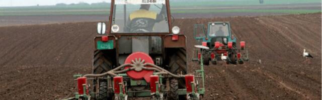 FAO upozorava: Poremećaji u Ormuskom moreuzu mogu izazvati globalnu krizu hrane