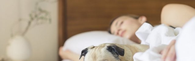 OSAM STVARI KOJE SU NAJVEĆE LEGLO BAKTERIJA I GRINJA U VAŠEM DOMU! Ako ih PERETE OVAKO, bićete zdravi