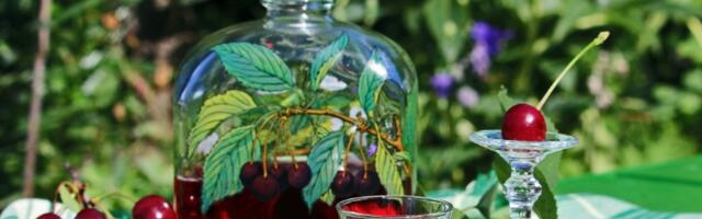 Domaća višnjevača! Starinski recept iz bakine sveske koji morate da probate