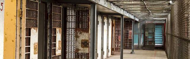 Elemirac osuđen na 13 godina zatvora zbog silovanja, nasilja u porodici i drugih krivičnih dela