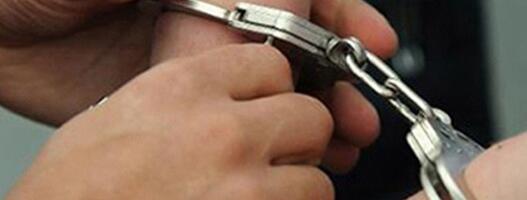 Uhapšena 31 osoba zbog poreske utaje i pranja novca, nezakonite radnje i na teritoriji Kragujevca