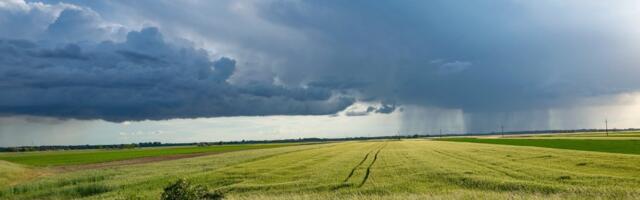 Tiče se SVIH NAS! Rok ističe SUTRA, imate još malo vremena da utičete na OVAJ ZAKON!