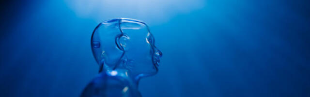 У Холандији преполовљен број огласа за почетничке послове