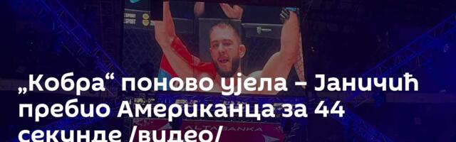 „Кобра“ поново ујела – Јаничић пребио Американца за 44 секунде /видео/