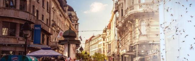 BEOGRAĐANI, OVOG PROLEĆA BEZ MUKE! Počeli tretmani suzbijanja larvi komaraca na javnim površinama, oglasili se ekolozi!