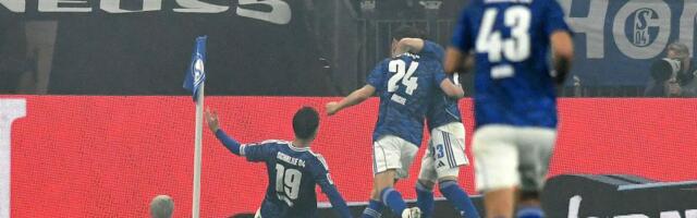 Velikan se vratio tamo gde pripada: Džeko i Šalke ponovo u Bundesligu!