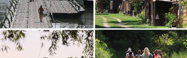 Zelena oaza u srcu Beograda: Kročili smo na skriveni biser na ušću Save u Dunav