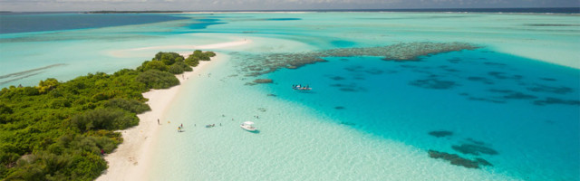 U vrelom moru skuvane morske životinje