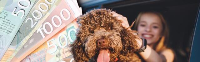 NOVI UDAR NA DŽEPOVE SRPSKIH TURISTA! Bez međunarodnog veterinarskog sertifikata ne možete sa ljubimcima VAN ZEMLJE, a on DUPLO POSKUPEO!