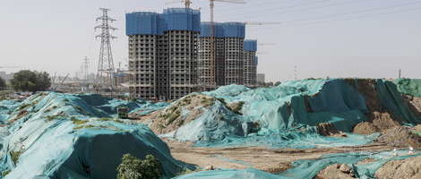 Naučnici: Bioraznolikost sprječava nove pandemije