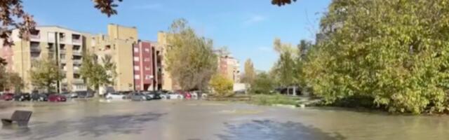 Potop u Novom Sadu: Pukla cev na Bulevaru Evrope, automobili u vodi na Detelinari