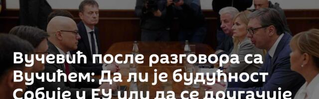 Вучевић после разговора са Вучићем: Да ли је будућност Србије у ЕУ или да се другачије определимо