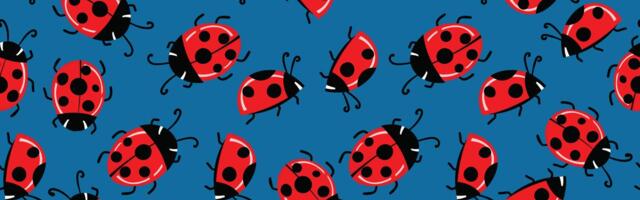 Pronađite 3 razlike među bubamarama za 7 sekundi: Detalje vidi samo 10% ljudi, ostali odustaju