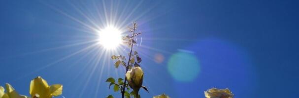 Ekstremni toplotni talas tokom vikenda: Očekuju se temperature i do 39 stepeni