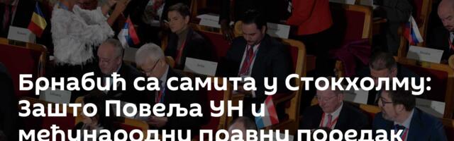 Брнабић са самита у Стокхолму: Зашто Повеља УН и међународни правни поредак не важе за Србију?