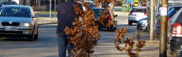 Badnjak nikako ne unosite u kuću tokom dana! Do Badnje večeri mora da stoji na jednom mestu, a evo šta je potrebno da ima