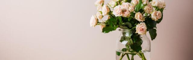 Svi tvrde da ruže u vazi traju duže ako uradite ovo: Testirali 3 popularna trika i samo jedan stvarno radi