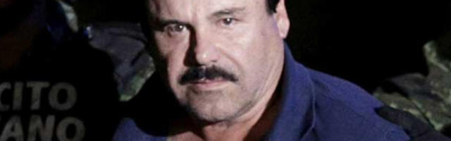 Син Ел Чапа спреман да промени изјаву о кривици пред америчким судом