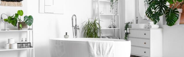 Stanari doživeli horor u kupatilu porodične kuće: Čudovište se sakrilo, niko ga nije primetio, a hranilo se...